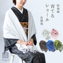 画像をギャラリービューアに読み込む, 結城紬 ショール 真綿 ストール フリンジショール 絹100% シルク100% 着物・洋服兼用 まわた ショール 奥順『結城紬 育てるショール 色無地〔5色〕』