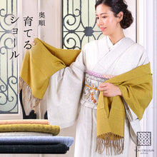 画像をギャラリービューアに読み込む, 奥順 結城紬 ショール 真綿 ストール フリンジショール 約45×175cm 絹100% シルク100% 着物・洋服兼用 まわた『結城紬 育てるショール〔5色〕』