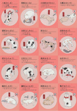 画像をギャラリービューアに読み込む, 風呂敷 50cm 猫 ネコ《隅田川》綿100% 歌川国芳 其のまま地口・猫飼好五十三疋 中巾チーフ ピンク ふろしき(50cm)【IT】